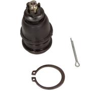 MAXGEAR Giunto Sferico Braccio Strutturale Frontale Lati per Honda Jazz II