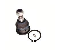 MAXGEAR Giunto Sferico Inferiore Anteriore Destro Adatto A per Volvo V40
