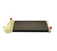 MAXGEAR Radiatore Acqua Per Fiat Idea Lancia Musa Ypsilon 350 350 843