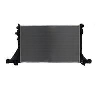 MAXGEAR Radiatore Acqua per Renault Master III Scatola Opel Movano B Bus