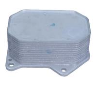MAXGEAR Radiatore Olio Adatto A per Citroën Jumper Cassone