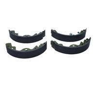 MAXGEAR Set Di Freni Posteriori Per Land Rover Freelander LN