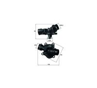MAXGEAR Termostato Acqua Per BMW Serie 1 E87 E88 3 E46 E90 E91 E92 E93