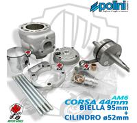 Maxi Kit Polini Minarelli AM6 D.52 C.44 Gruppo Termico BETA RR 50 2T Euro 4