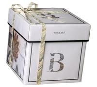 Maxi Panettone Borsari Il Panettone Classico con Uvetta e Canditi da 5 Kg