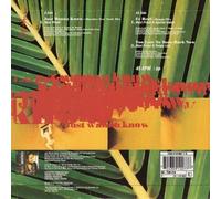 MAXI PRIEST, just wanna know, B side fe real and too late to turn back now, TEN 416, POSTER AND 7" EP