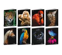 Maxi quaderni Blasetti Animali A4 18+1 f rigatura 10 mm - 9001