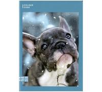 Maxi quaderno A4 100gr COLOUR CODE ANIMAL rig.1R