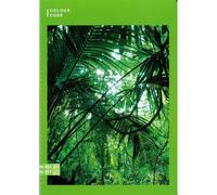 Maxi quaderno A4 100gr COLOUR CODE RAINBOW rig.1R