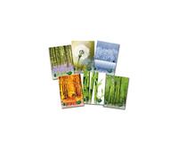 Maxi quaderno Blasetti Quadecò formato A rigatura 5 mm - 4771