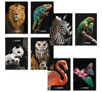 MAXI QUADERNONI BLASETTI QUADRETTI 1 CM CON MARGINE CONF. 10 PZ ANIMAL