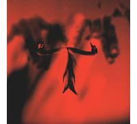 Maxim Mental Make Team Presents: Maxim Mental in Maximalism (CD) Album