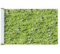 Maximex Balcone frangivista Vino Selvatico ad Asciugatura Rapida Multicolore