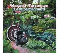 Maxwell Farrington & Le Superhomard - I Had It All