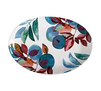 Maxwell & Williams DR0362 - Piatto Samba in ceramica, multicolore