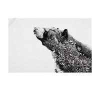 Maxwell & Williams Marini Ferlazzo Asciugamano da tè con disegno di orso nero asiatico, 1% cotone indiano, bianco, 5 x 7 cm