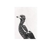 Maxwell & Williams Marini Ferlazzo Birds Asciugamano da tè stampato con disegno di gazza australiana, cotone, nero/bianco, 5 x 7 cm