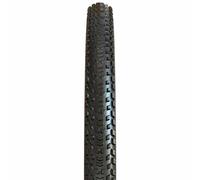 Maxxis Aspen AT Pneumatico MTB XC 29 x 2.40 EXO/TR MaxxSpeed 120 TPI Tubeless Ready Pieghevole