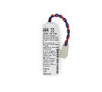 Maxxistore® - Batsecur pila litio compatibile Batli04 Daitem Logisty Atral Diagral 3,6 V 2 Ah (1 Pezzo)