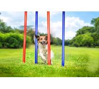 maxxpro Agility Slalom Set Agility per Cani - 60 x 3 cm - Plastica - Blu/Rosso