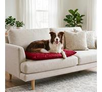 Maxy Cuscinone Cane e Gatto ELEGANT - Cuscino per Animali Domestici Imbottito, in Microfibra, 60x100 cm, Materassino Morbido e Confortevole per Cani Taglia Piccola/Media/Grande, Rosso