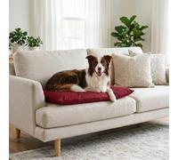 Maxy Cuscinone Cane e Gatto ELEGANT - Cuscino per Animali Domestici Imbottito, in Microfibra, 60x100 cm, Materassino Morbido e Confortevole per Cani Taglia Piccola/Media/Grande, Bordeaux