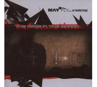 May-Fly - The Face in the Mirror