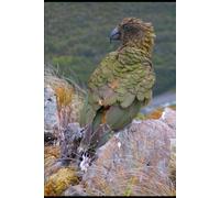 May, June, July 2025: Don Eddie´s Mexican Diary and Facebook Pensamientos