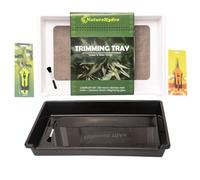 Mayaadi-Home Trim Bin Rettangolo per polline ed erbe aromatiche | Colino per erbe aromatiche 2 in 1 con schermo da 150 micron | 2 forbici e spazzola (bianco)