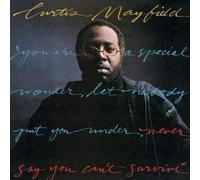 Mayfield, Curtis - Never Say You Can't Survive