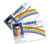 Mayoii McLovin - Confezione da 2 carte d'identità finte, divertenti patente di guida McLovin, scherzi falsi, scherzi, scherzi, oggetti di scena (8,9 x 5,3 x 0,7,6 cm)