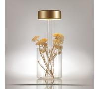 Maytoni AI Collaboration lampada da tavolo ricaricabile 1 luce ovale, LED, MOD229TL-L3G3K1, AI Collaboration [Lampade per Interni > Lampade a batteria]