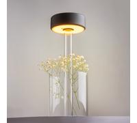 Maytoni AI Collaboration lampada da tavolo ricaricabile 1 luce ovale, LED, MOD229TL-L3B3K1, AI Collaboration [Lampade per Interni > Lampade da Tavolo]