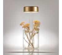 Maytoni AI Collaboration lampada da tavolo ricaricabile 1 luce ovale, LED, MOD229TL-L3G3K1, AI Collaboration [Lampade per Interni > Lampade a batteria]