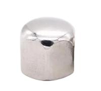 MAYyhem 1/10pcs 304 in Acciaio Inox Esagonale Esagono Decor Corto Basso Tappo di Copertura Acorn Dado for M3 M4 M5 M6 M8 M10 M12 M14 M16 bullone a Vite(M12)
