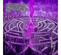 Maze Envy ( audioCD )