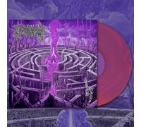 Civerous Maze Envy (Vinyl LP) 12" Album Coloured Vinyl