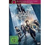 Maze Runner: Die Auserwählten in der Todeszone (DVD) Dylan O'Brien Wes Ball