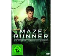 Maze Runner - Die Auserwählten im Labyrinth (DVD) Dylan O'Brien Will Poulter