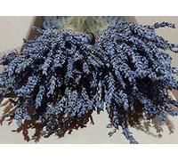 Mazzi di Lavanda Essiccata Biologica Greca 1-22 Mazzi, 300 Steli ciascuno Qualità Premium (4 mazzi + 50 grammi boccioli)