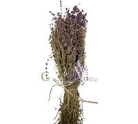 Mazzo intero essiccato alla menta Pennyroyal greca 70 g - 1,9 kg / Mentha Pul...
