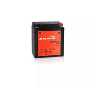 MB12AL-A2 BATTERIA MALOSSI GEL BMW Strada F 650ST 650 1999 YB12AL-A2 4419722