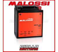 MB14L-A2 BATTERIA MALOSSI GEL APRILIA Atlantic 500 500 2004 YB14L-A2 4419723