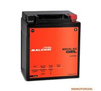 MB14L-A2 BATTERIA MALOSSI GEL GILERA Nexus 500 500 2003 2008 YB14L-A2 4419723 mb