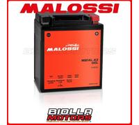 MB14L-A2 BATTERIA MALOSSI GEL TRIUMPH Tiger 885 900 1996 YB14L-A2 4419723