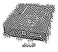 MBA3147RC Fujitsu 146-gb 15 K 3.5 SAS (10 pezzi)