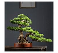 MBELLO Albero Bonsai, Nuovo Bonsai Artificiale di Pino di Benvenuto Artificiale in Stile Cinese, Ornamento Zen Micro Paesaggio da 13 Pollici, Alberi Finti