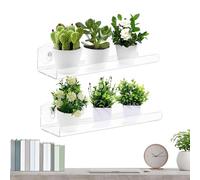 Mbiyhgta Glass Mounted - Twin Acrylic Pods with Vacuum Discs, Sunny Greenery Exhibition Rack Enhancing Vertical Growing Zones, Décor Accent | Living Room Studio Conservatory