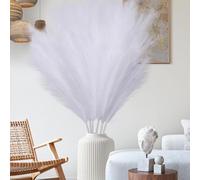 Mbsomnus 6 Pezzi Pampas Decorative 110 cm Fiori Secchi Decorativi Bianco Rami Decorativi Soffici e Soffici Piume Decorative per Decorazione di Bouquet Secchi Home Decor Vaso da Pavimento