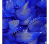 Mbsomnus 600 Pezzi Piume Blu Reale 5-12 cm Piume Decorative per Lavoretti DIY Artigianato Costumi Cappelli Orecchini Sogni Catturati Festival Matrimonio Compleanno Decorazioni